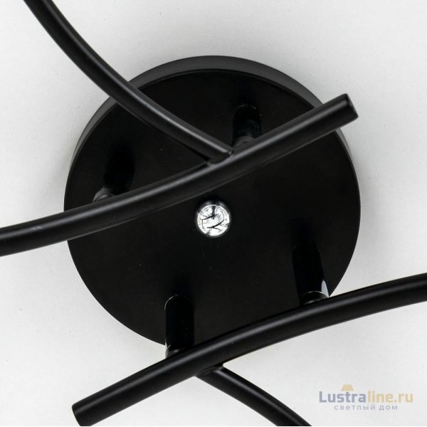 Потолочная люстра Citilux Флорида CL148165 Потолочная люстра Citilux Флорида CL148165