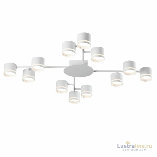 Потолочная люстра Lumion Gareta 8235/12C