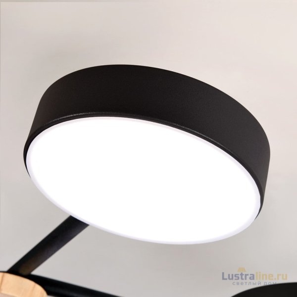 Потолочная люстра LED4U L3201-780 BK
