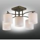 Потолочная люстра Omnilux Pisticci OML-55317-05