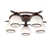 Потолочная люстра Omnilux OML-50507-05