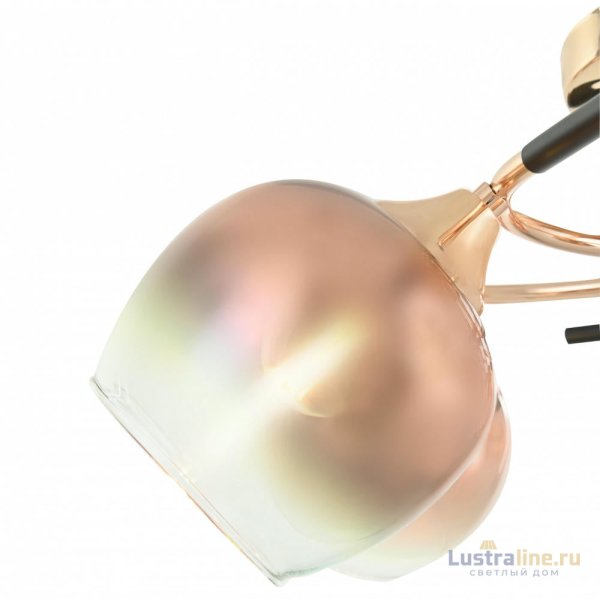 Потолочная люстра Arte Milano Amalfi 324985/5 FG+BK Потолочная люстра Arte Milano Amalfi 324985/5 FG+BK