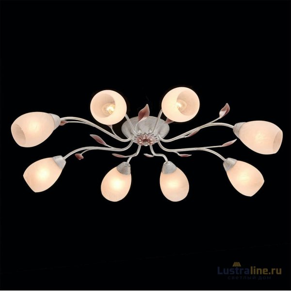 Потолочная люстра MW-Light Восторг 242016508