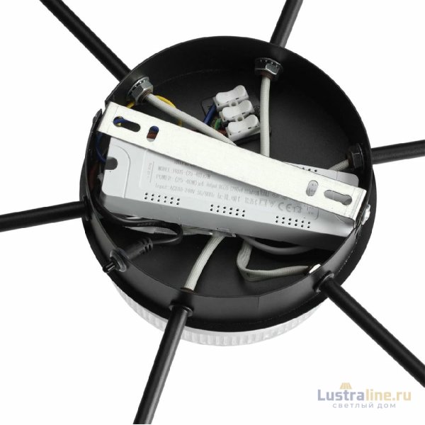 Потолочная люстра Lumion Didana 8236/7CL Потолочная люстра Lumion Didana 8236/7CL