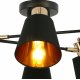 Потолочная люстра Illumico IL6116-6COU-79 BK GD Abelie