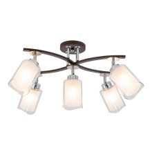 Потолочная люстра Citilux Фортуна CL156152