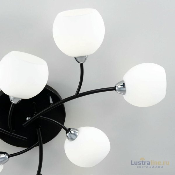 Потолочная люстра Citilux Флорида CL148195 Потолочная люстра Citilux Флорида CL148195