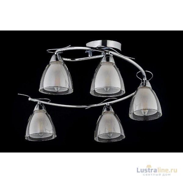 Потолочная люстра Arti Lampadari Paola E 1.1.5 N