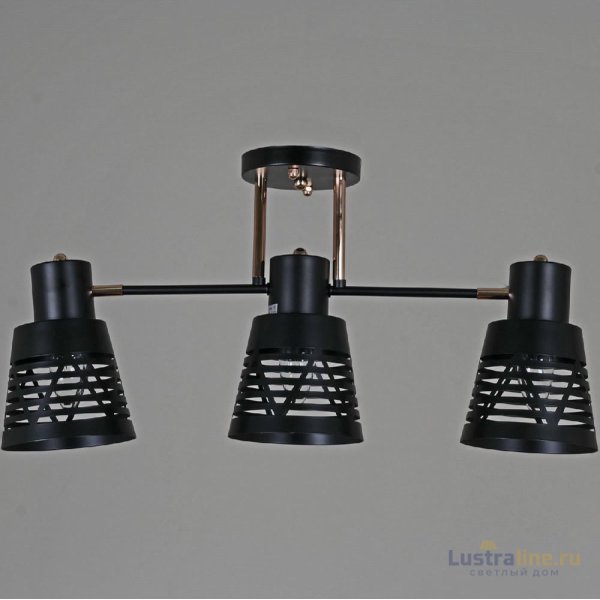 Потолочная люстра Reluce 06074-3.3-03 BK+FG Потолочная люстра Reluce 06074-3.3-03 BK+FG