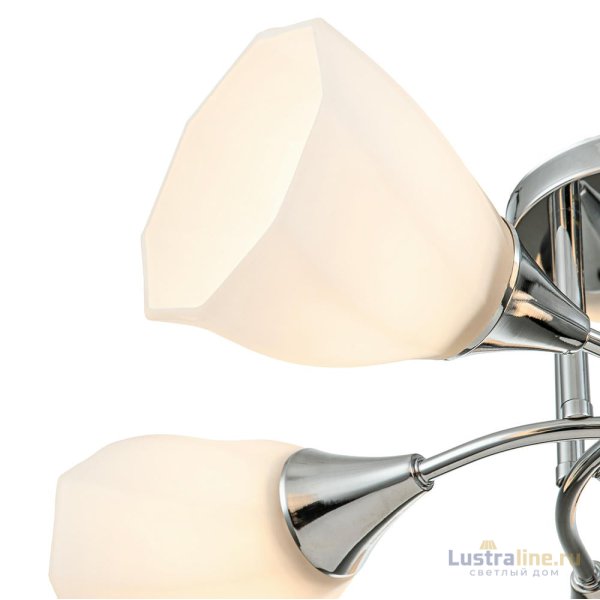 Потолочная люстра Escada Camellia 664/5P
