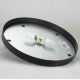Потолочная люстра Lussole Loft Chilton LSP-8410