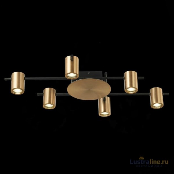 Потолочная люстра ST Luce Veroli SL1207.402.06