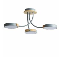 Потолочная люстра Lumion Arley 5655/54CL