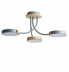 Потолочная люстра Lumion Arley 5655/54CL
