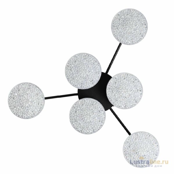 Потолочная люстра Lumion Didana 8236/6CL Потолочная люстра Lumion Didana 8236/6CL
