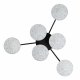 Потолочная люстра Lumion Didana 8236/6CL