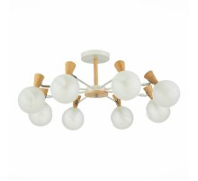 Потолочная люстра Evoluce Catania SLE220702-08 Потолочная люстра Evoluce Catania SLE220702-08