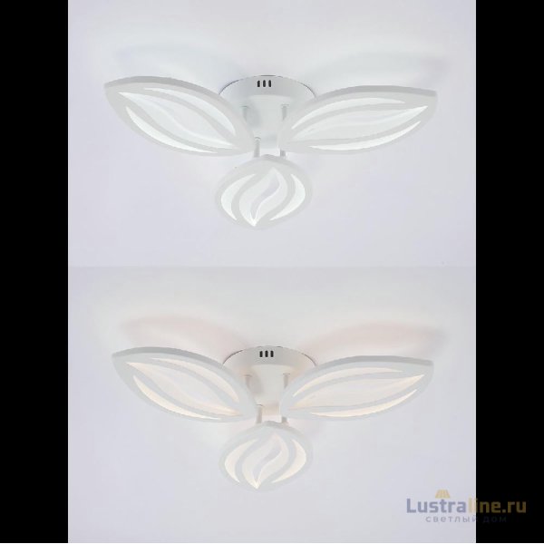 Потолочная люстра Natali Kovaltseva Sm LED LAMPS 81456 Потолочная люстра Natali Kovaltseva Sm LED LAMPS 81456
