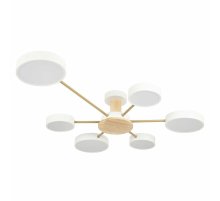 Потолочная люстра Loft IT Sunrise 10316/6 White