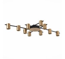 Потолочная люстра ST Luce Veroli SL1207.402.10