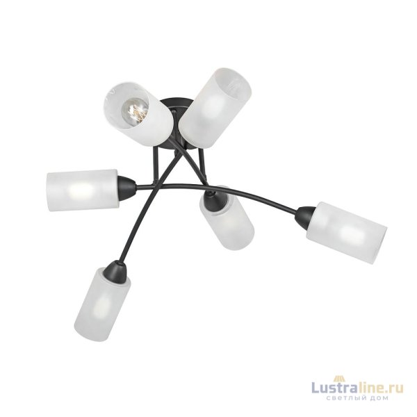 Потолочная люстра Vitaluce V4188-1/6PL Потолочная люстра Vitaluce V4188-1/6PL