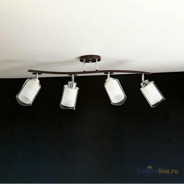 Потолочная люстра Citilux Фортуна CL156142 Потолочная люстра Citilux Фортуна CL156142