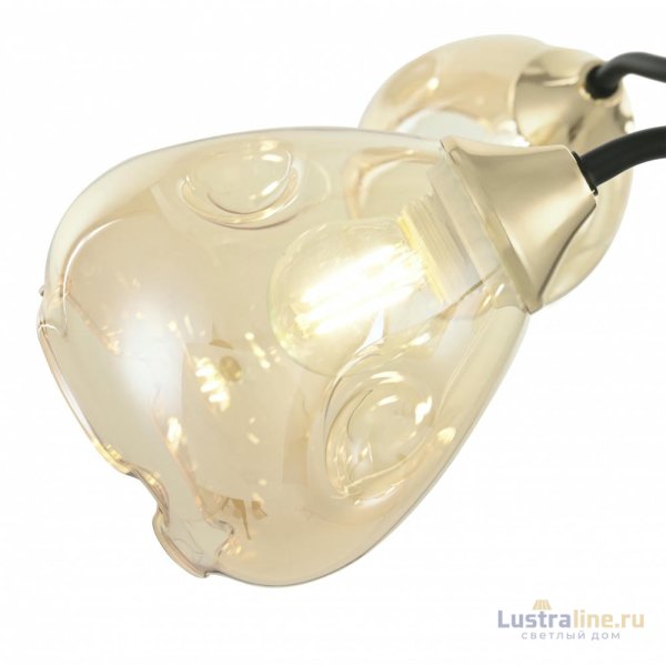 Потолочная люстра Arte Milano Amalfi 324106/5 FG+BK Потолочная люстра Arte Milano Amalfi 324106/5 FG+BK