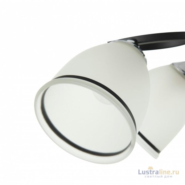 Потолочная люстра Arte Milano Amalfi 325885/5A BK+CR