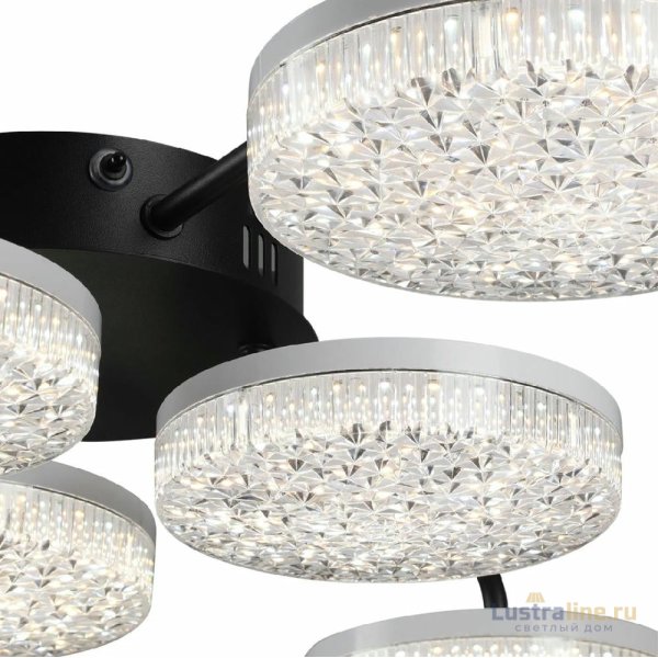 Потолочная люстра Lumion Didana 8236/6CL Потолочная люстра Lumion Didana 8236/6CL