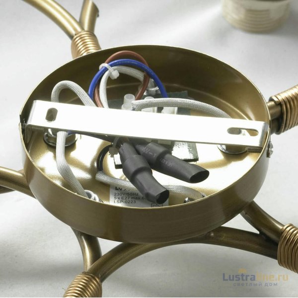 Потолочная люстра Lussole Lgo LSP-0223 Потолочная люстра Lussole Lgo LSP-0223