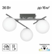 Потолочная люстра Citilux Dorsy CL223131