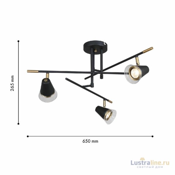 Потолочная люстра F-Promo Trandy 4618-3C