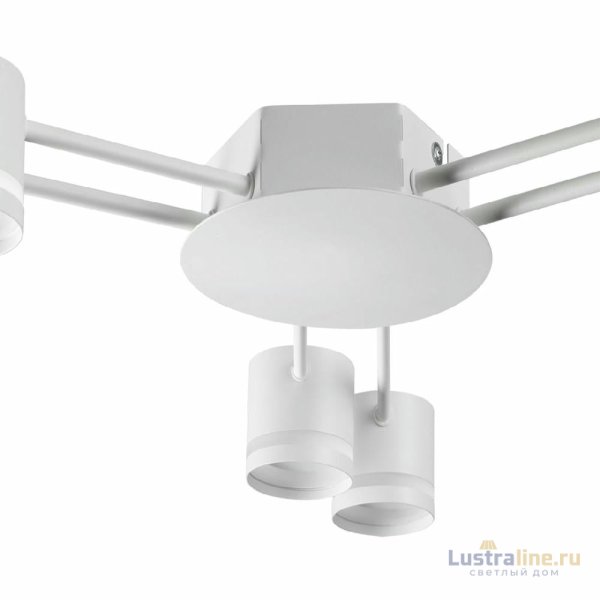Потолочная люстра Lumion Gareta 8235/6C
