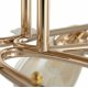 Потолочная люстра Arte Milano Amalfi 326419/5 FG+WH