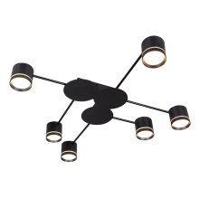 Потолочная люстра Arte Lamp Legacy A8024PL-6BK