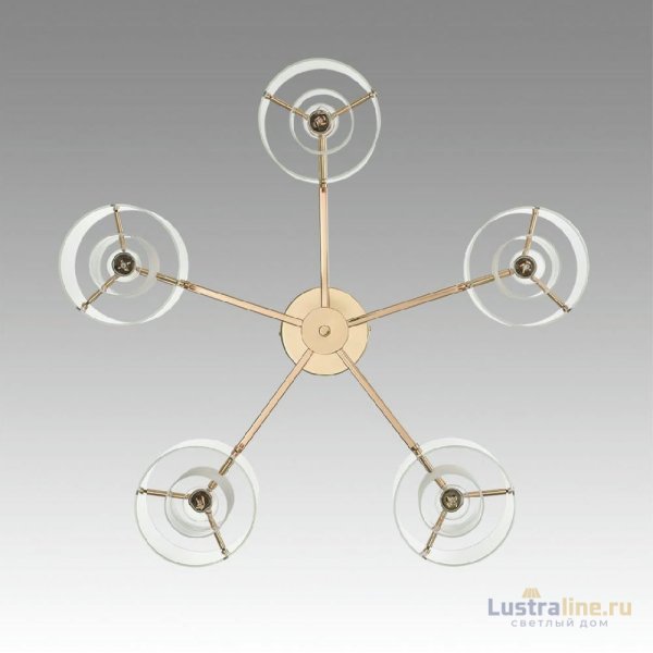 Потолочная люстра Lumion Verdi 6587/5C Потолочная люстра Lumion Verdi 6587/5C
