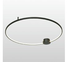 Потолочная люстра Lussole Lowell LSP-7110