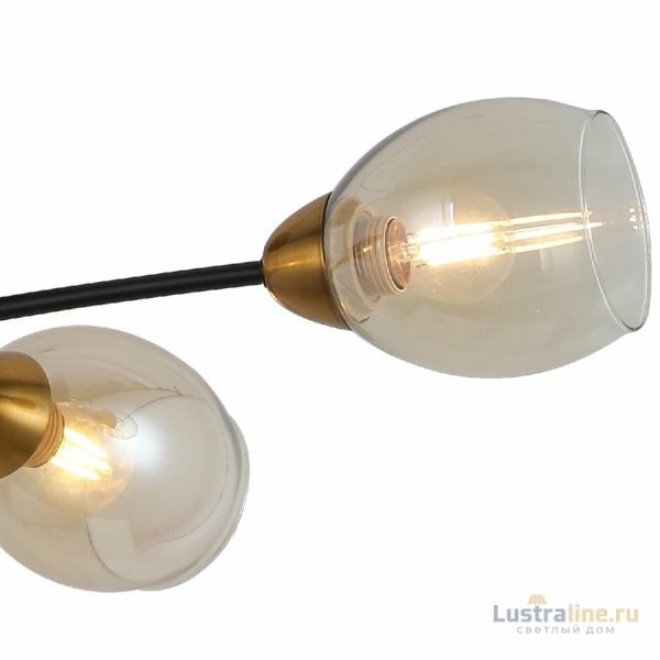 Потолочная люстра Illumico IL8263-4COU-79 BK GD Celeste Потолочная люстра Illumico IL8263-4COU-79 BK GD Celeste