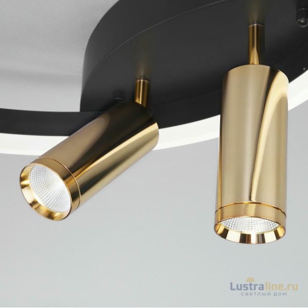 Потолочная люстра Eurosvet Luminari 90247/3 черный/золото Smart Потолочная люстра Eurosvet Luminari 90247/3 черный/золото Smart
