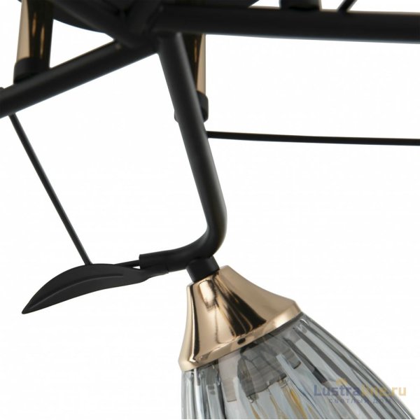 Потолочная люстра Arte Milano Amalfi 322610/5 BK+FG