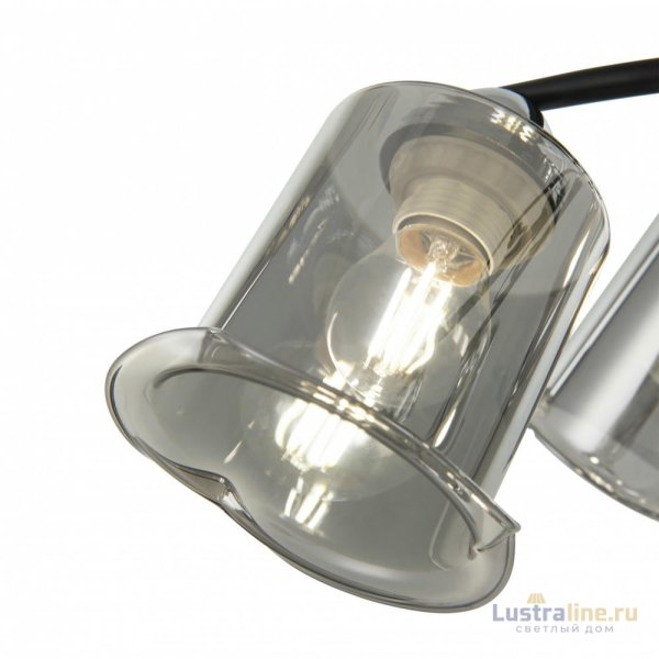 Потолочная люстра Arte Milano Amalfi 323219/5 CR+BK Потолочная люстра Arte Milano Amalfi 323219/5 CR+BK