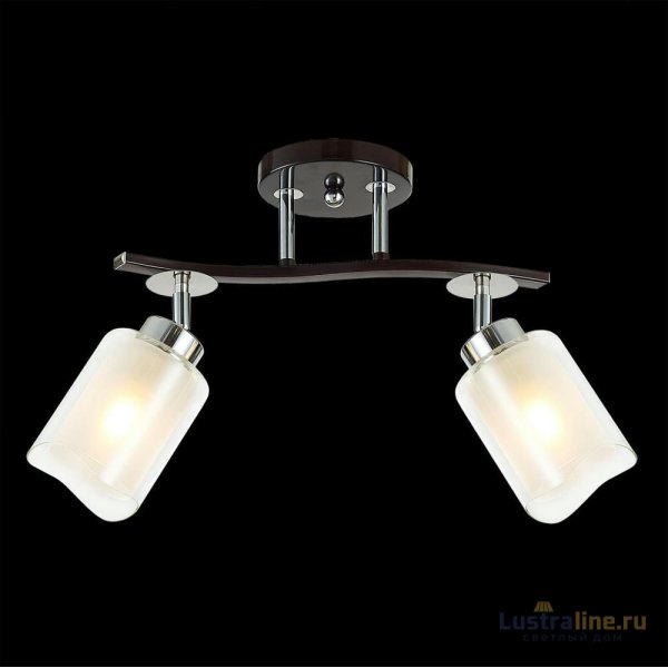 Потолочная люстра Citilux Фортуна CL156122 Потолочная люстра Citilux Фортуна CL156122