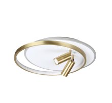 Потолочная люстра Lumion Naoko 5603/63CL