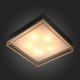 Накладная люстра ST-Luce SL1127.422.05