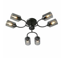 Потолочная люстра Vitaluce V2823-1/6PL