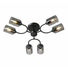 Потолочная люстра Vitaluce V2823-1/6PL