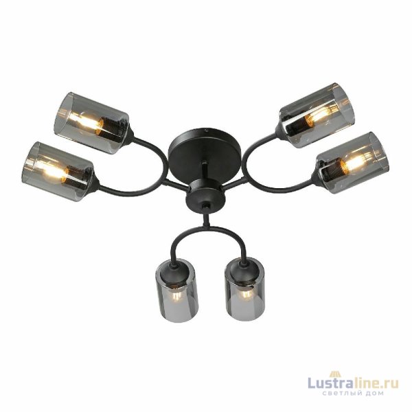 Потолочная люстра Vitaluce V2823-1/6PL Потолочная люстра Vitaluce V2823-1/6PL