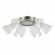 Потолочная люстра ST Luce Fairy SL6235.102.20