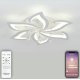 Потолочная светодиодная люстра Natali Kovaltseva Olimp LED LAMPS 81238