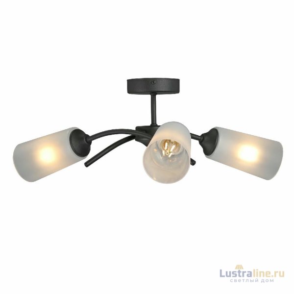 Потолочная люстра Vitaluce V2850-1/3PL Потолочная люстра Vitaluce V2850-1/3PL